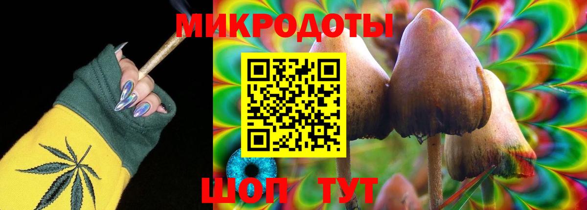 Галлюциногенные грибы прущие грибы  Вход с VPN  Ульяновск  Псилоцибиновые грибы GOLDEN TEACHER 